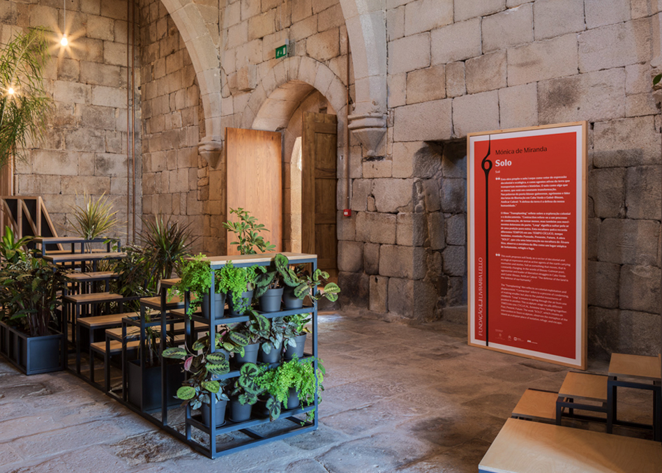 Exhibition wall graphics at Fundação Livraria Lello.